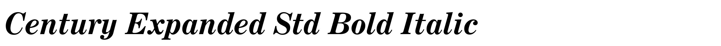 Century Expanded Std Bold Italic